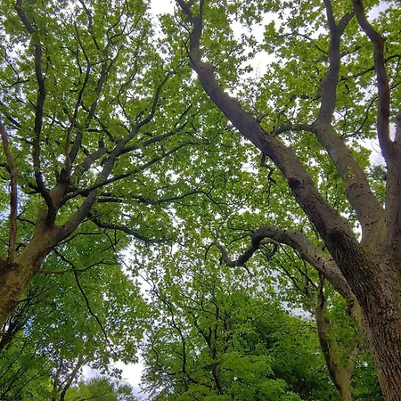 Luxury Retreat With Pool - By Traum *