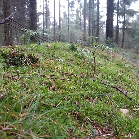 Luxury Retreat With Pool - By Traum