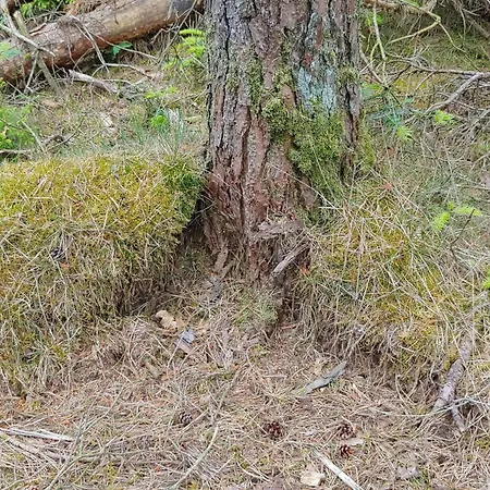 Hébergement de vacances Luxury Retreat With Pool - By Traum Oksbøl